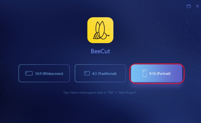 select 9:16 aspect ratio