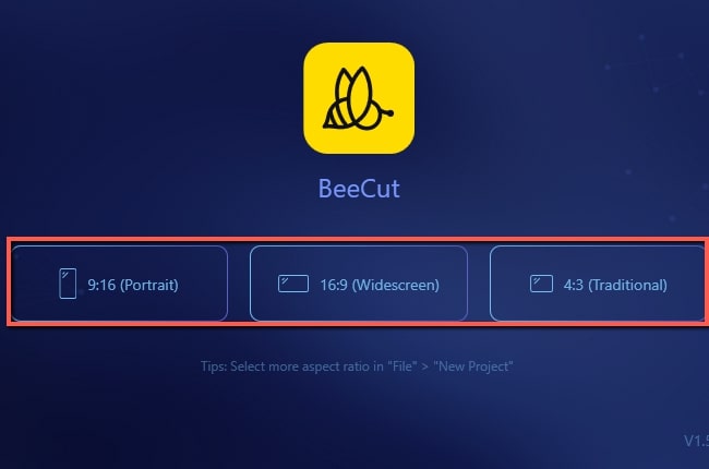 pinterest video pin beecut select aspect ratio
