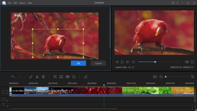 crop video via ApowerEdit