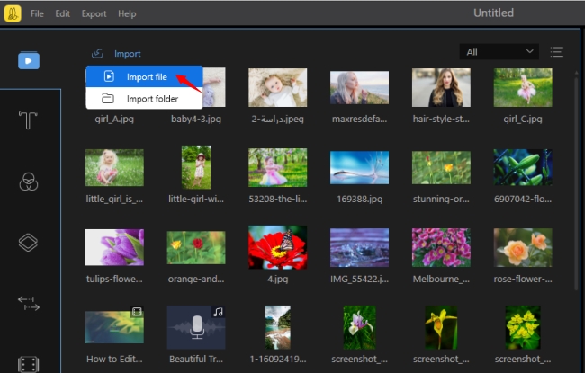 import files to BeeCut
