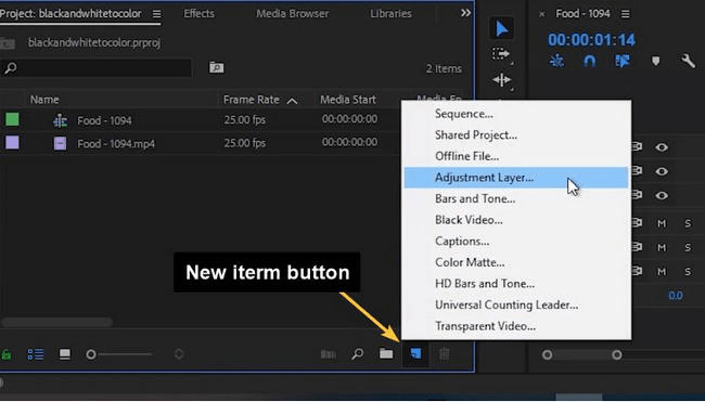 make video black and white on Premiere pro