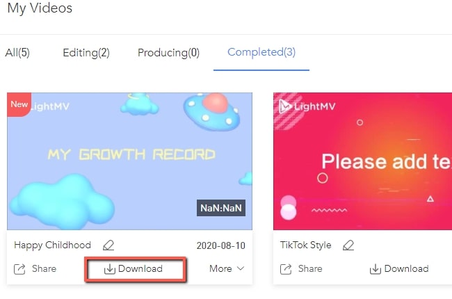 lightmv download video