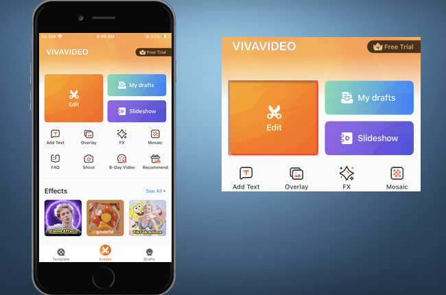 change video voice vivavideo